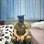 dima199