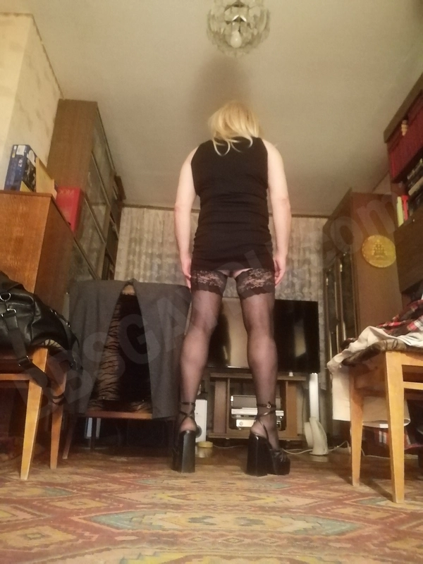 alenabriks4414537