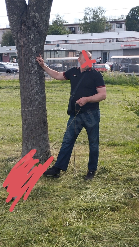 mi504901017