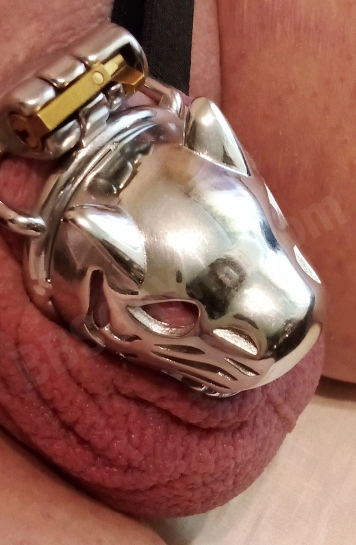 SubBoy4455669