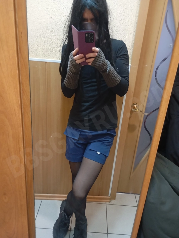 Canis784548038