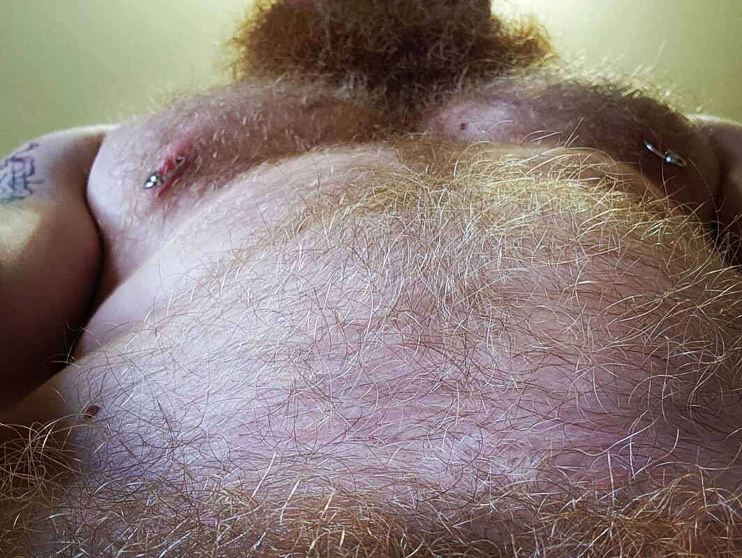 Gingerbeard4129328