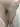 Shluhaforsex