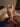 Andrey100771