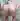KAMLuLu