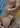 Alex12LP