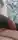 Bisex020978