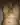 Andrey100771