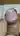 BisSer