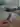 Amur777