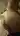 Dalex69
