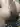 Oil,s