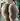Sologreeeen8888