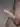 Bg583