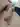 Sniff0132