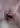 Egor999
