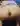 wulfric27