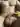 Andr7896
