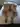 Grihan_bb