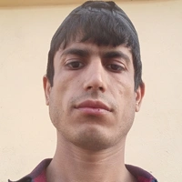 Feyzula
