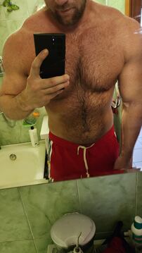 sportbear
