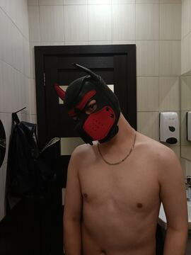 Wuf2025
